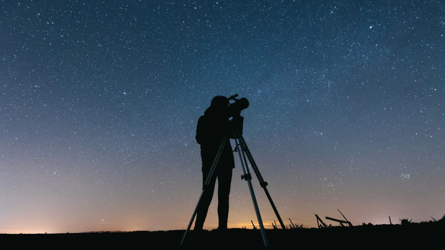 “Noite de Estrelas” em Tróia