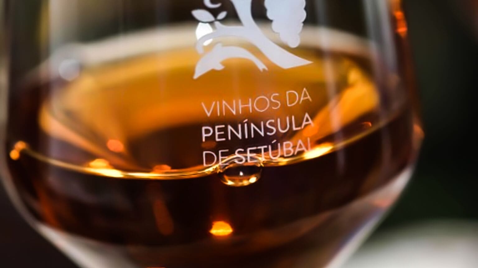 Vinho, Coelho e Moscatel são os destaques nos próximos fins de semana gastronómicos de Palmela