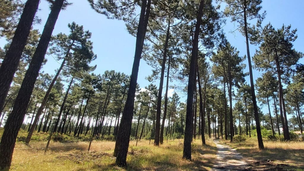 Parque-Metropolitano-da-Biodiversidade