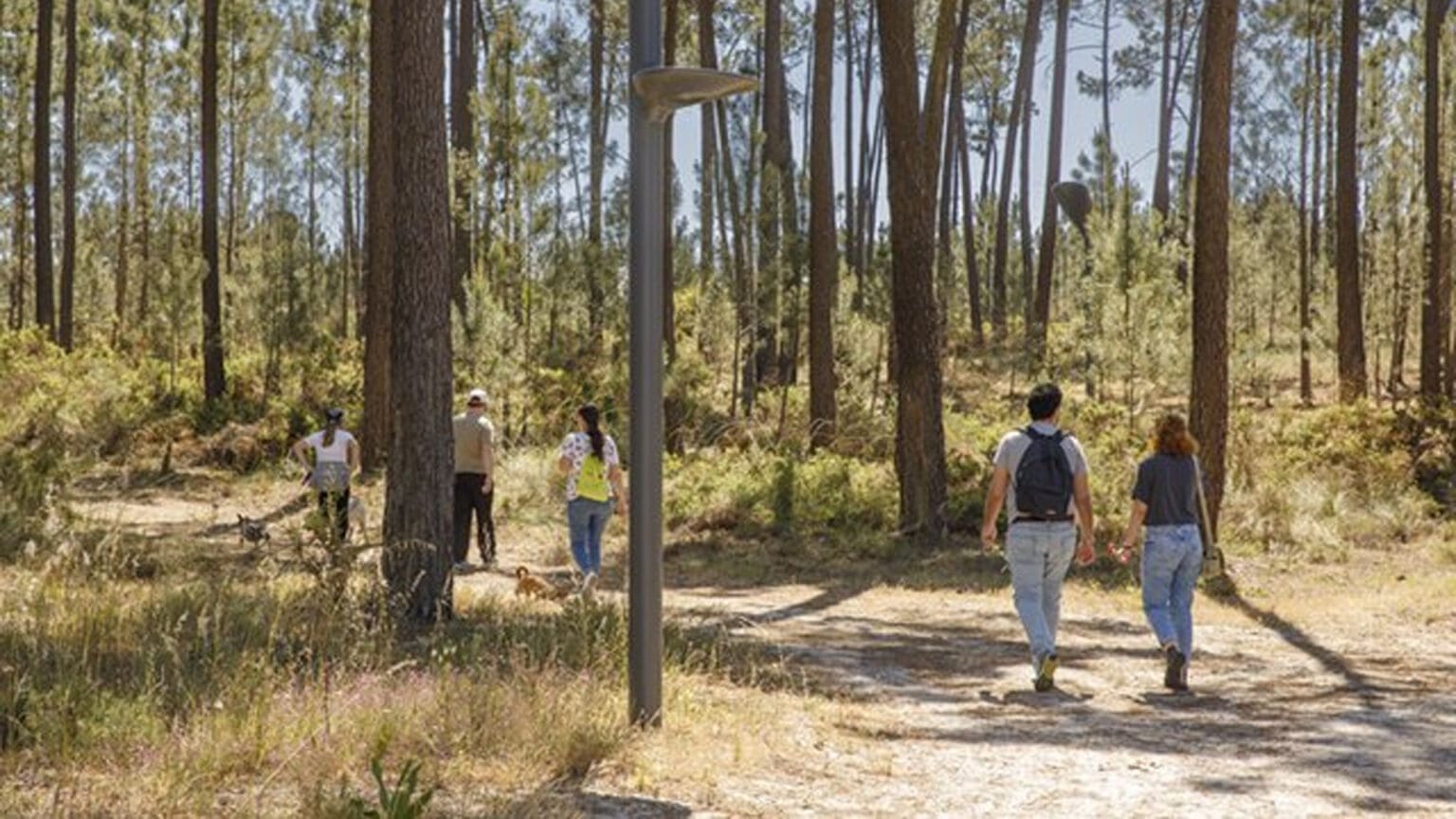 Peddy-paper no Parque Metropolitano da Biodiversidade: Uma Manhã de Diversão e Aprendizagem