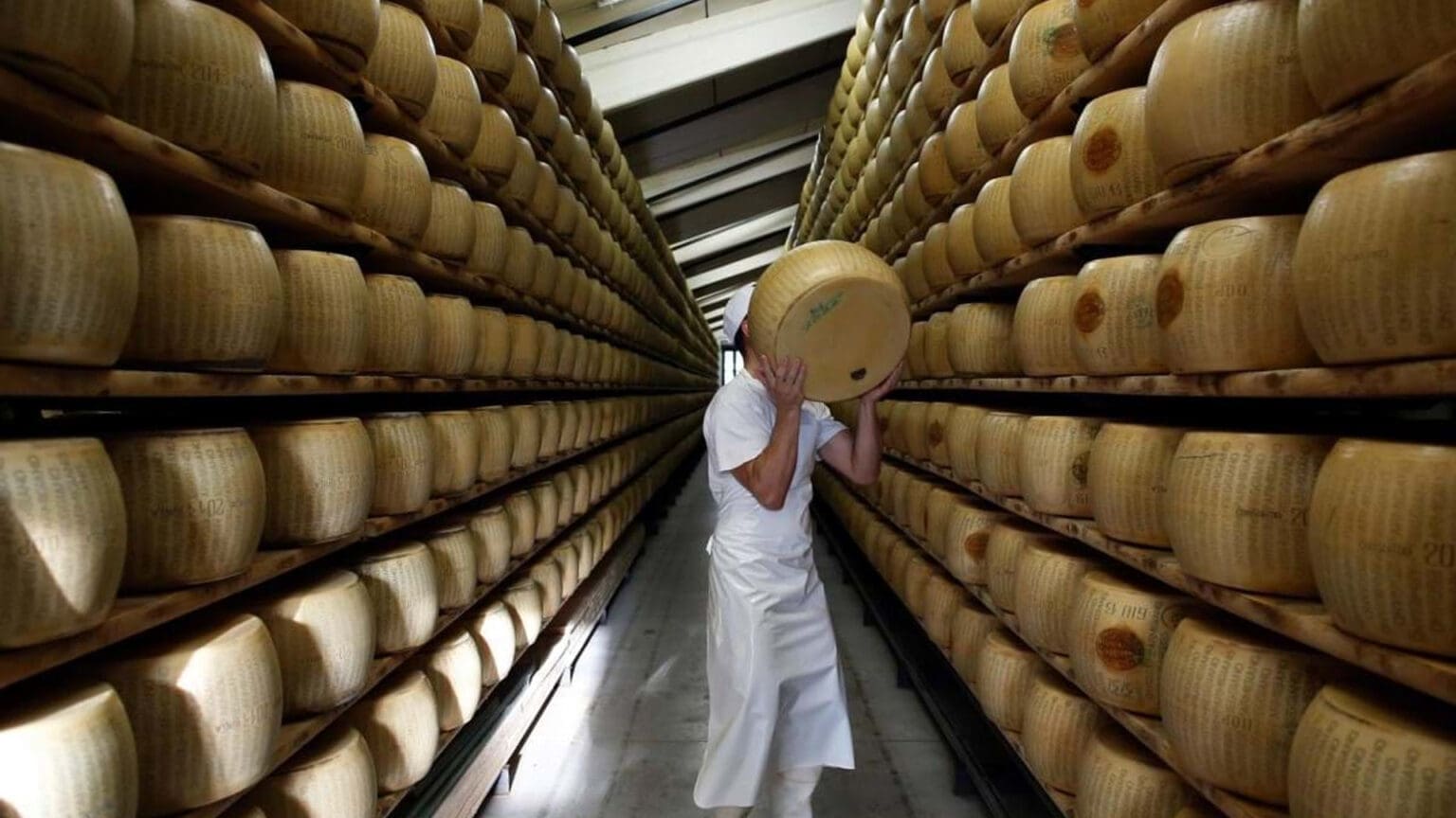 Queijos Santiago: O Sabor Premiado de Azeitão