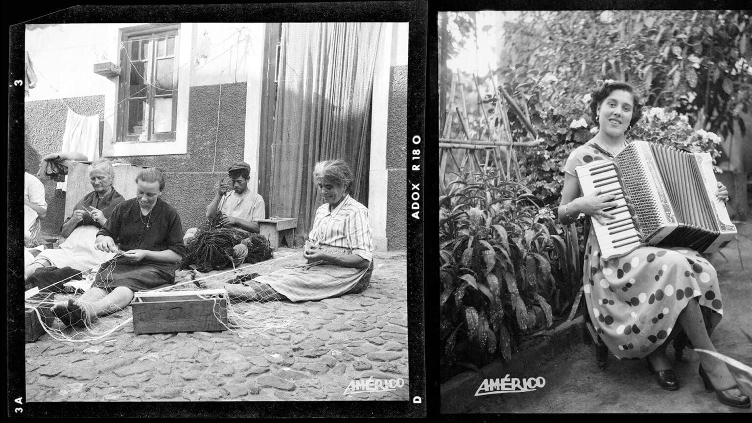 Américo Ribeiro: pela Lente e Tempo