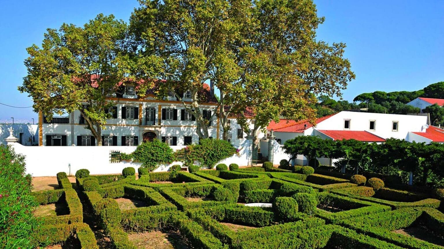 Quinta da Fidalga: Uma Galeria Natural para Explorar