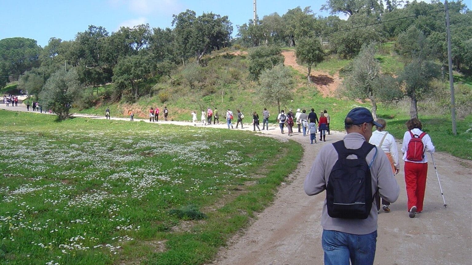 Mexa-se em Palmela: Caminhada Desportiva De Cabanas à Serra de S. Francisco