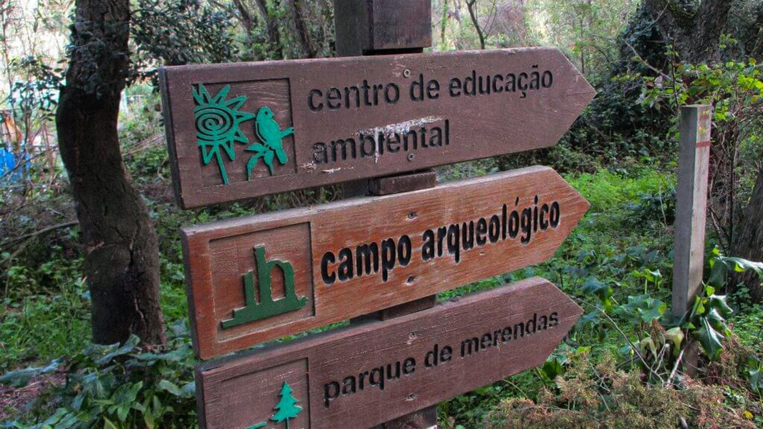 Uma Educação para o Ambiente