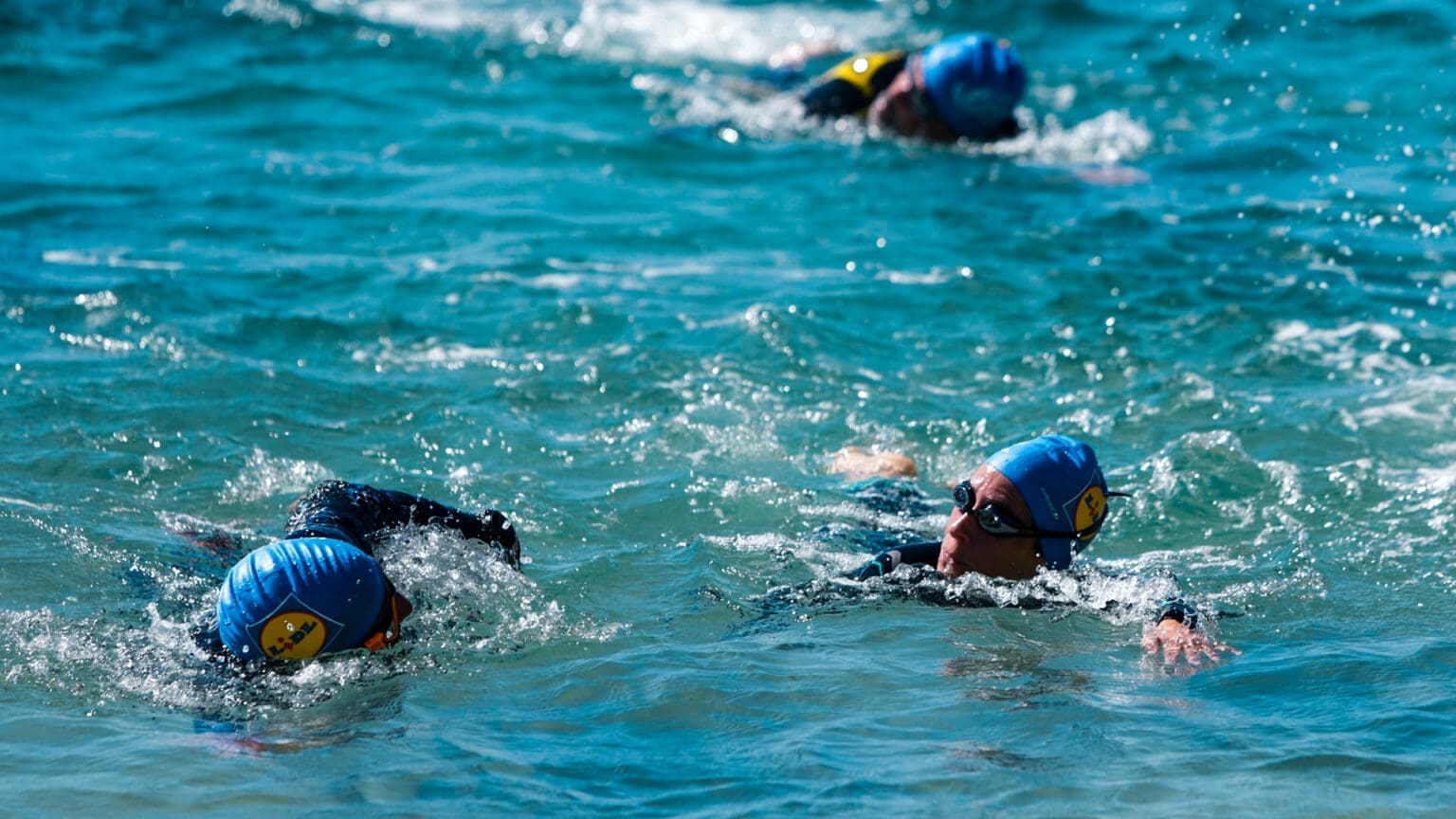 Setúbal Open Water Race: Corrida de Águas Abertas regressa em abril ao Rio Sado