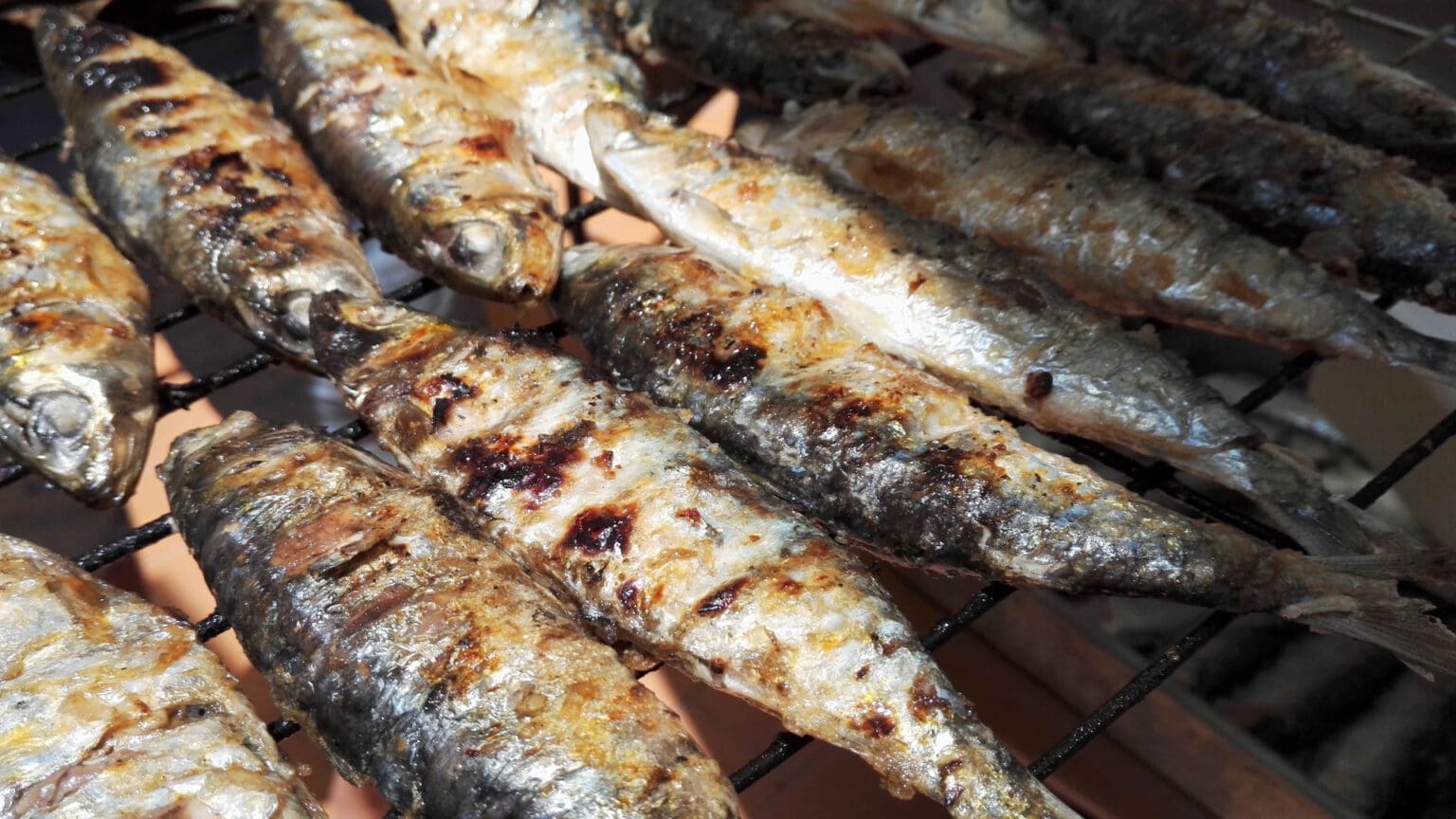 Sardinha é a rainha da semana gastronómica em Setúbal