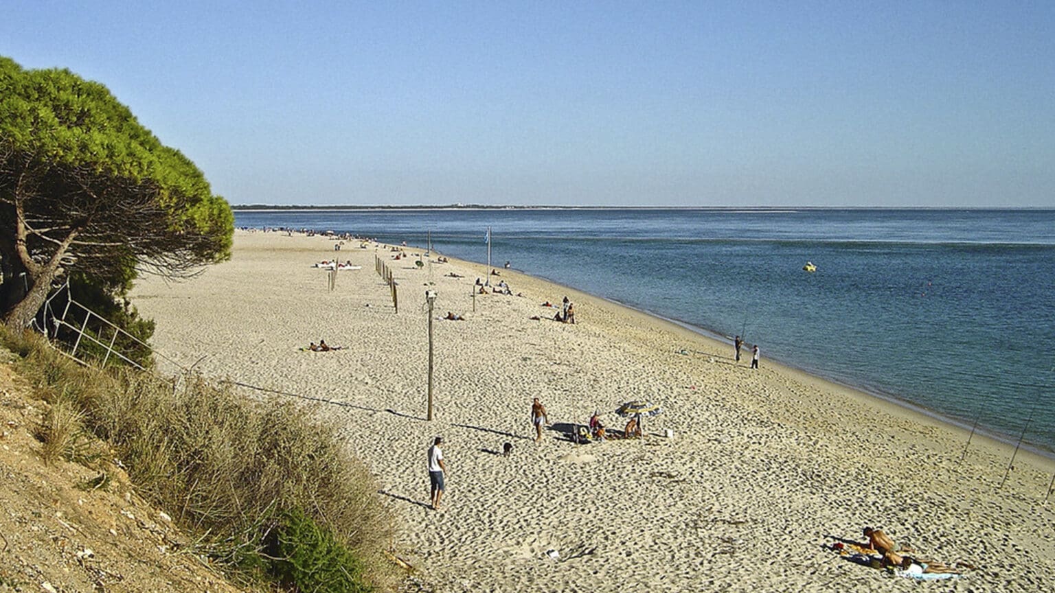 Não perca a Festa de Verão na Praia da Figueirinha em Setúbal